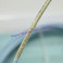 New BENTLY  cable 330130-040-00-00