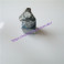 New REXROTH valve DBDH6P1X/100