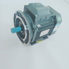 New ABB M2QA90L2A motor 2.2KW 2P Pls tell me how the motor is installed